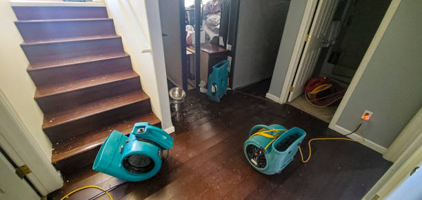 Best Flood damage cleanup  in Mahanoy City, PA