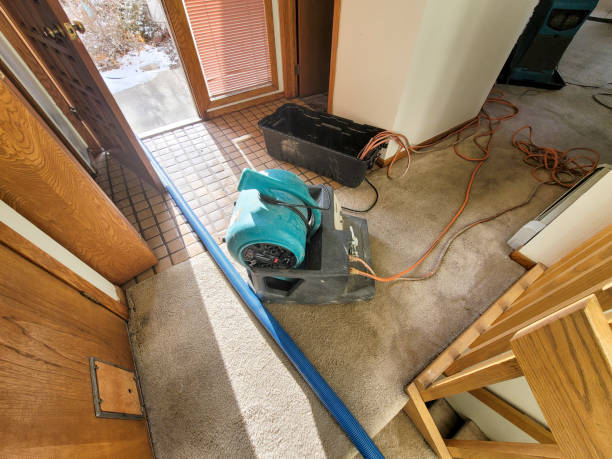 Water damage restoration mold remediation in Mahanoy City, PA