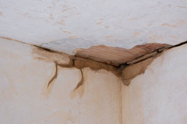Best Carpet water damage restoration  in Mahanoy City, PA