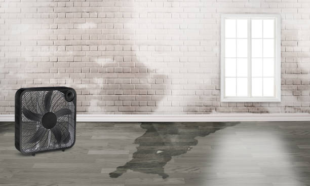Best Sewage cleanup and water damage restoration  in Mahanoy City, PA