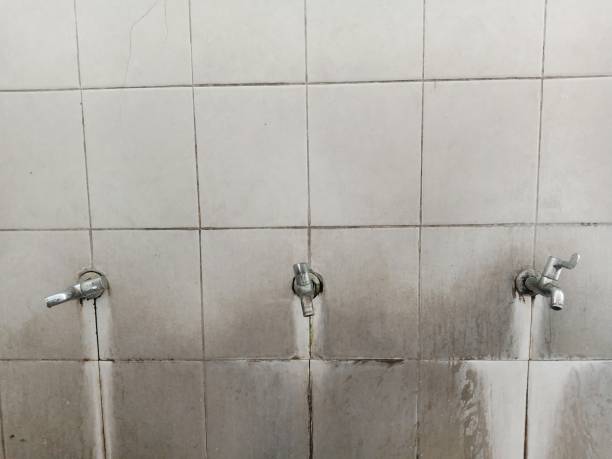 Best Flood restoration services  in Mahanoy City, PA