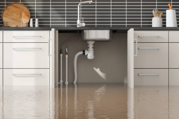Best Basement water damage restoration  in Mahanoy City, PA