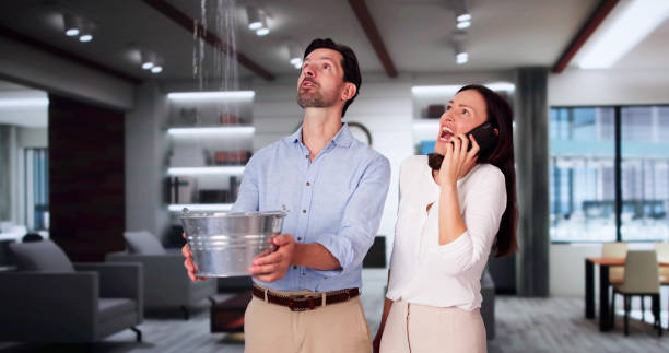Best Local water damage restoration  in Mahanoy City, PA